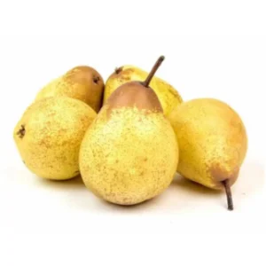 Poire Rocha